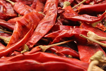 dry Red chilies in morning