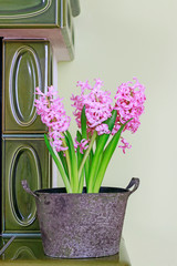 How to make table decoration with pink hyacinth flowers