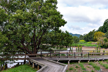Fototapeta na wymiar View of Arima-fuji public park in Sanda city, Hyogo, Japan