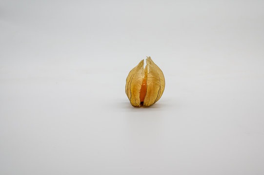 one only physalis (physalis, golden, gooseberry) isolated on white background