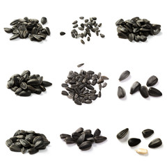 Set of Sunflower seeds isolated on white background