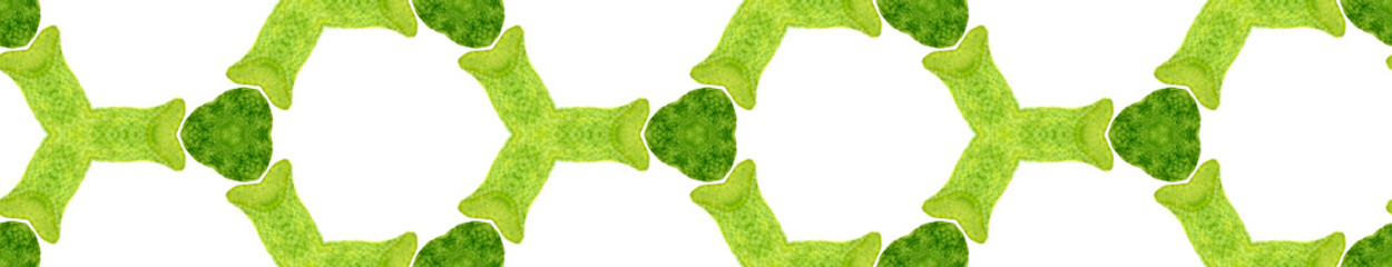 Green spring Seamless Border Scroll. Geometric Wat