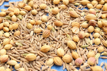 coriander in the street on the sunlight