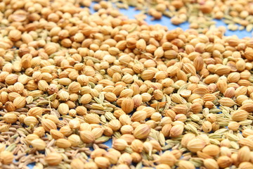 coriander in the street on the sunlight