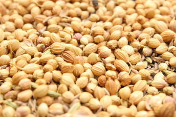 coriander in the street on the sunlight