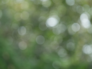 Natural bokeh background Blurred out of focus