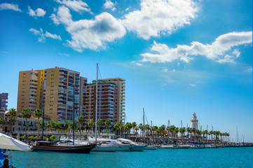 Fototapeta premium Port harbor malaga with yachts and palm trees