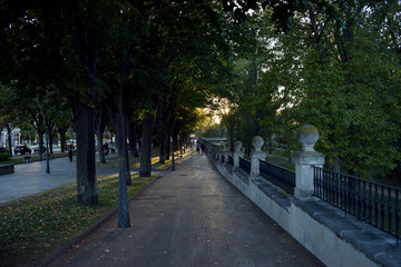 Parques con árboles al anochecer.