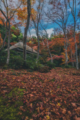 京都 祇王寺の紅葉と秋の景色