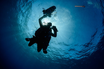 Backlit diver