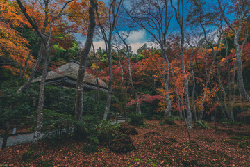 京都 祇王寺の紅葉と秋景色