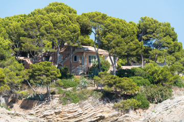 Fototapeta premium Mallorca