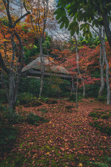 京都 祇王寺の紅葉と秋景色