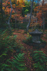 京都 祇王寺の紅葉と秋景色