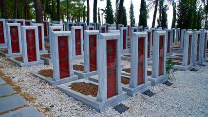Graves and monuments of soldiers who died in 1915 Canakkale war