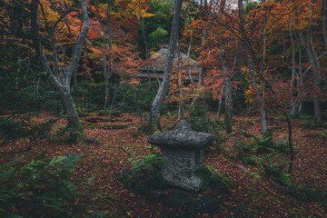 京都 祇王寺の紅葉と秋景色