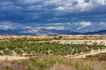 The Badlands of Abanilla and Mahoya near Murcia in Spain