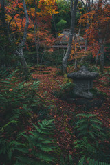 京都 祇王寺の紅葉と秋景色