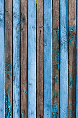 Background from old shabby blue narrow boards with two rows of nails. On many boards there is no paint, a lot of knots, arranged vertically. Vertical frame.