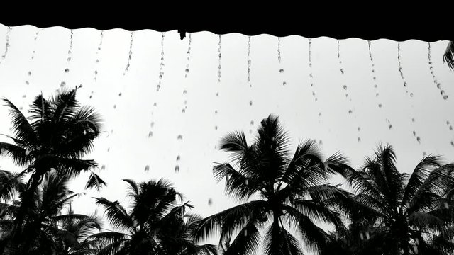Raindrops falling from terrace with silhouette of coconut trees on the background.  