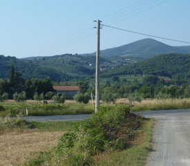 view of the wide green countryside and a power pole in Tuscany (Italy) in summer