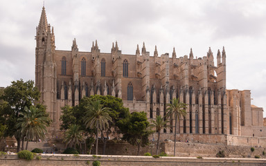 Obraz premium Kathedrale Palma