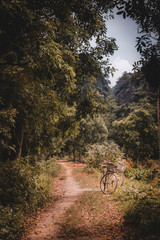 autumn in forest in Vietnam with two bikes