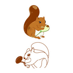 Animals Squrial chracter socute brow color and line  design  vector