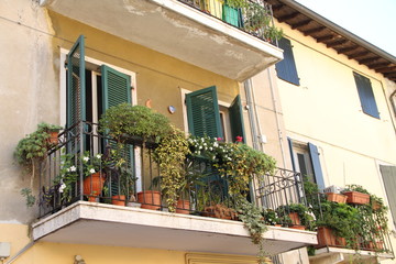 Fototapeta na wymiar begrünter Balkon in Italien