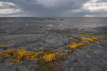 The rocky coast of the island in the Baltic Sea.Finland seascape.