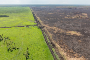 Aerial view of the effect of fire on pastoral and - one burnt paddock and one unburnt