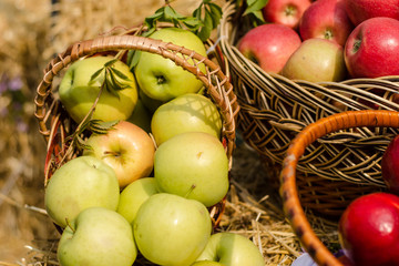 Organic apples in the basket.