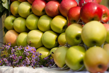 Green and red organic apples.