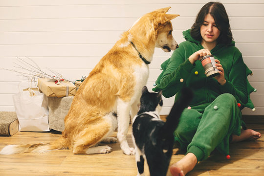 Happy Girl In Festive Pajamas Feeding Dog And Cat With Canned Food, Sitting On Floor With Christmas Presents In Stylish Room. Celebrating Christmas Or New Year Eve With Pets, Pajama Party.