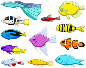 Set of twelve different colored tropical fishes