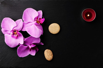 Flower arrangement of orchids.