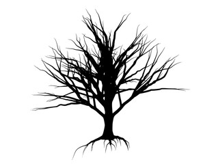 tree silhouette on a white background vector