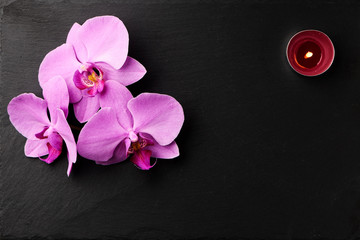 Flower arrangement of orchids.