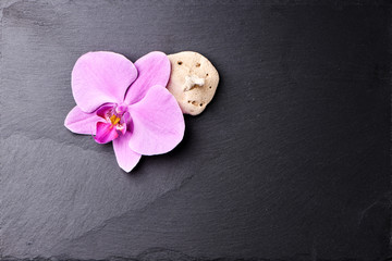 Flower arrangement of orchids.