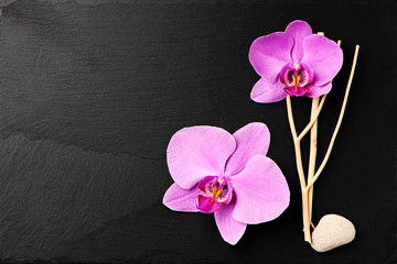 Obraz na płótnie Canvas Flower arrangement of orchids.