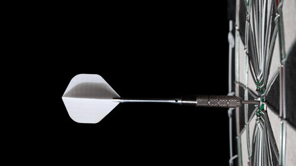 darts throw to the center, hitting the target
