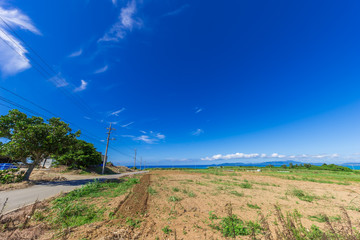 小浜島の風景