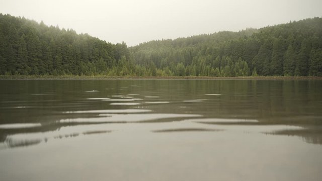 Green Lake And Trees Low Shot