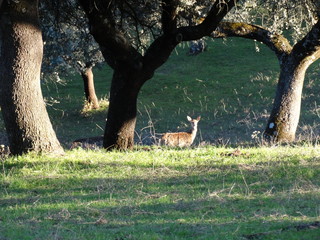 PAISAJESRT