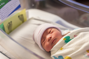 just born asian baby laying in the infant bassinet basket