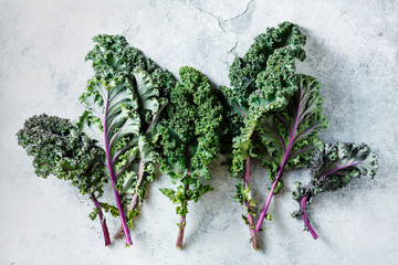 Freshly cut purple Kale leaves on a light textured background.