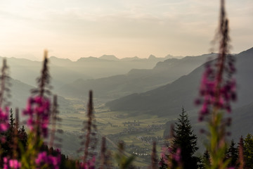 Tal in den Alpen während der Morgenstunden