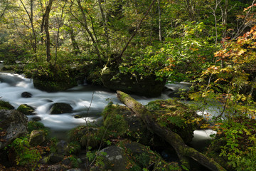 青森県奥入瀬渓流の秋の景色