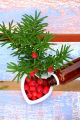 eibebeeren  naturheilkunde