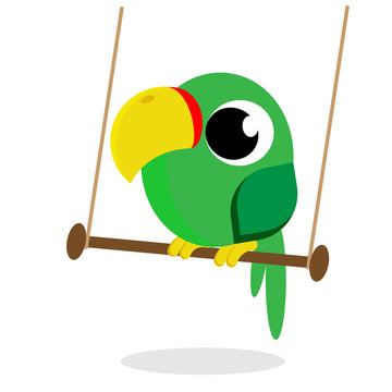parrot flat vector